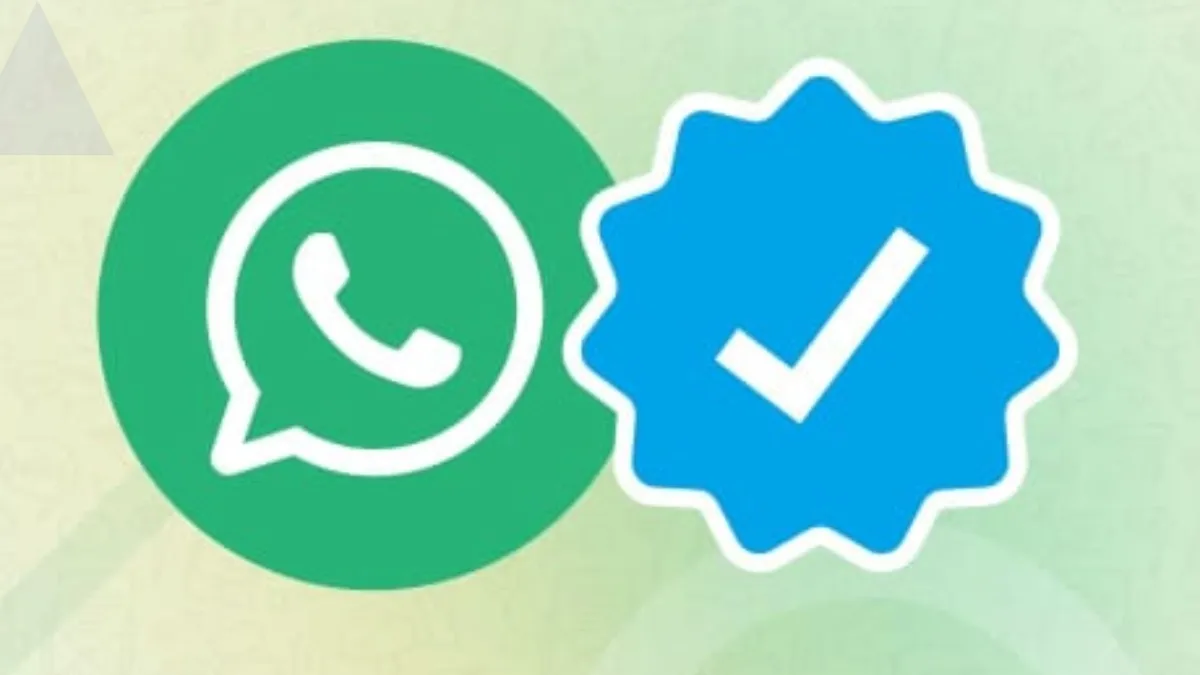 WhatsApp Blue Tick Verification 24 Hours